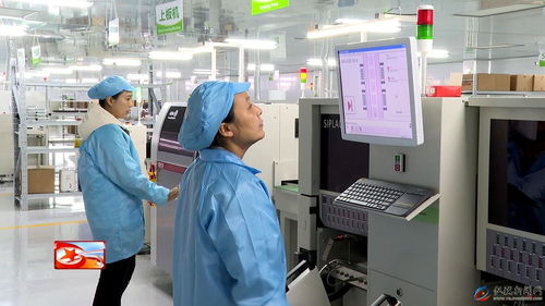 锚定智能制造新赛道 我县清洁机器人产业蓄势启航