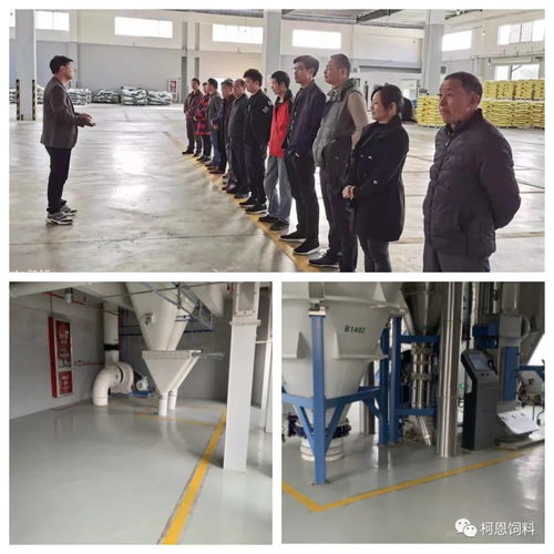 规模养殖服务商之清洁工厂：柯百微在行动