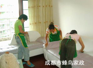 双流保洁公司 专业清洗油烟机，守护厨房健康环境